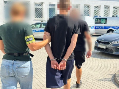 Jest podejrzany o pobicie, wywieranie wpływu na świadka i groźby skrzywdzenia psa