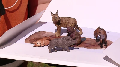 Miniatura
