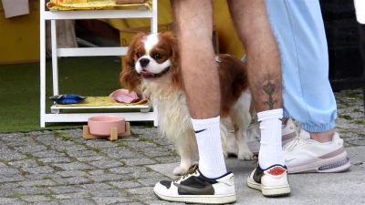 Festiwal Smaków w Wejherowie