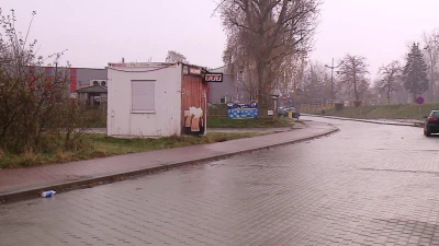 Miniatura
