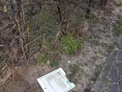 Miniatura