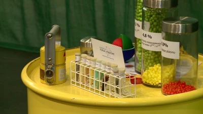 Miniatura