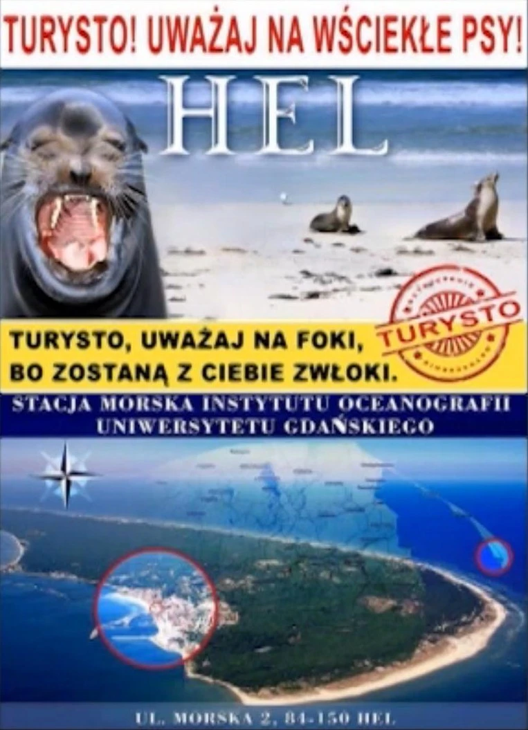 Foczy problem w Helu