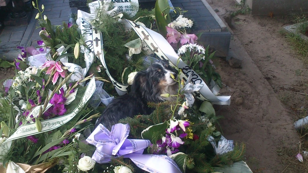 foto. OTOZ Animals/ facebook.pl
