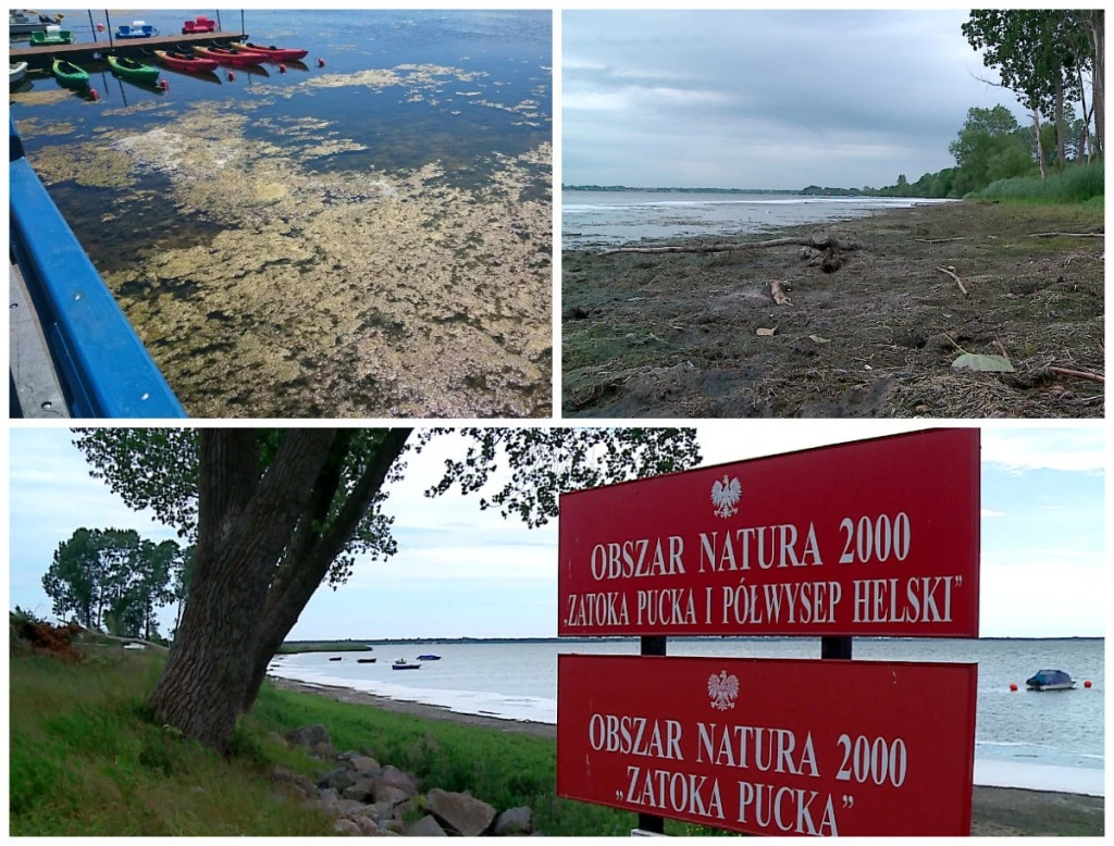 Plaża gnije i śmierdzi - turyści nie chcą tu przyjeżdżać