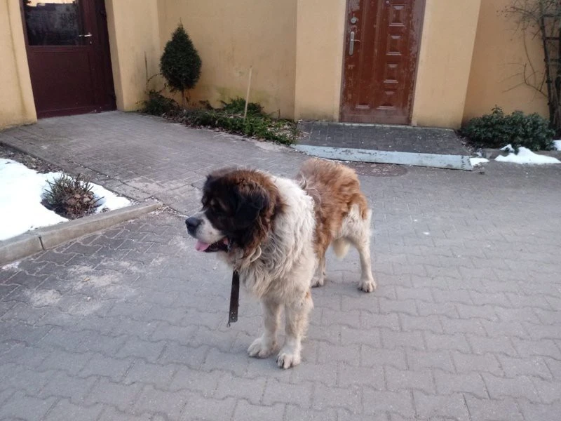 fot. SM Wejherowo