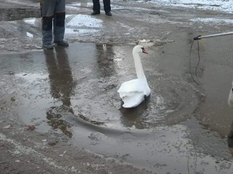 Fot. SM Wejherowo