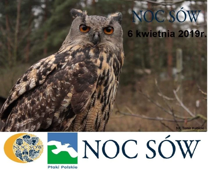 źródło: Nadleśnictwo Choczewo