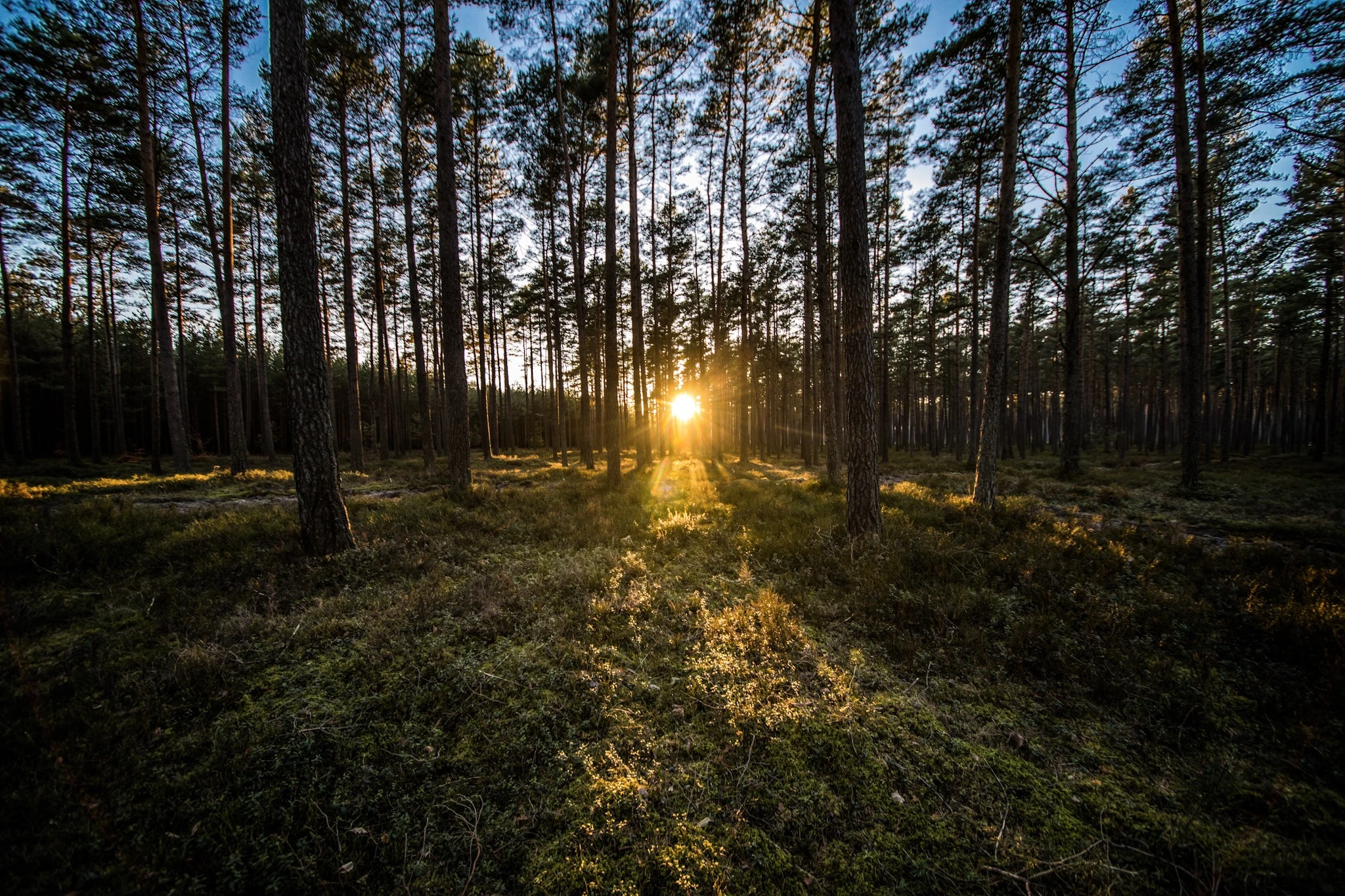 Fot. Tomasz Iwaniuk/archiwum