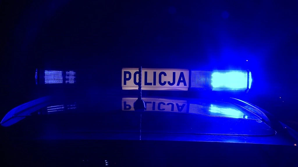 17-latek odpowie za podpalenie piwnic