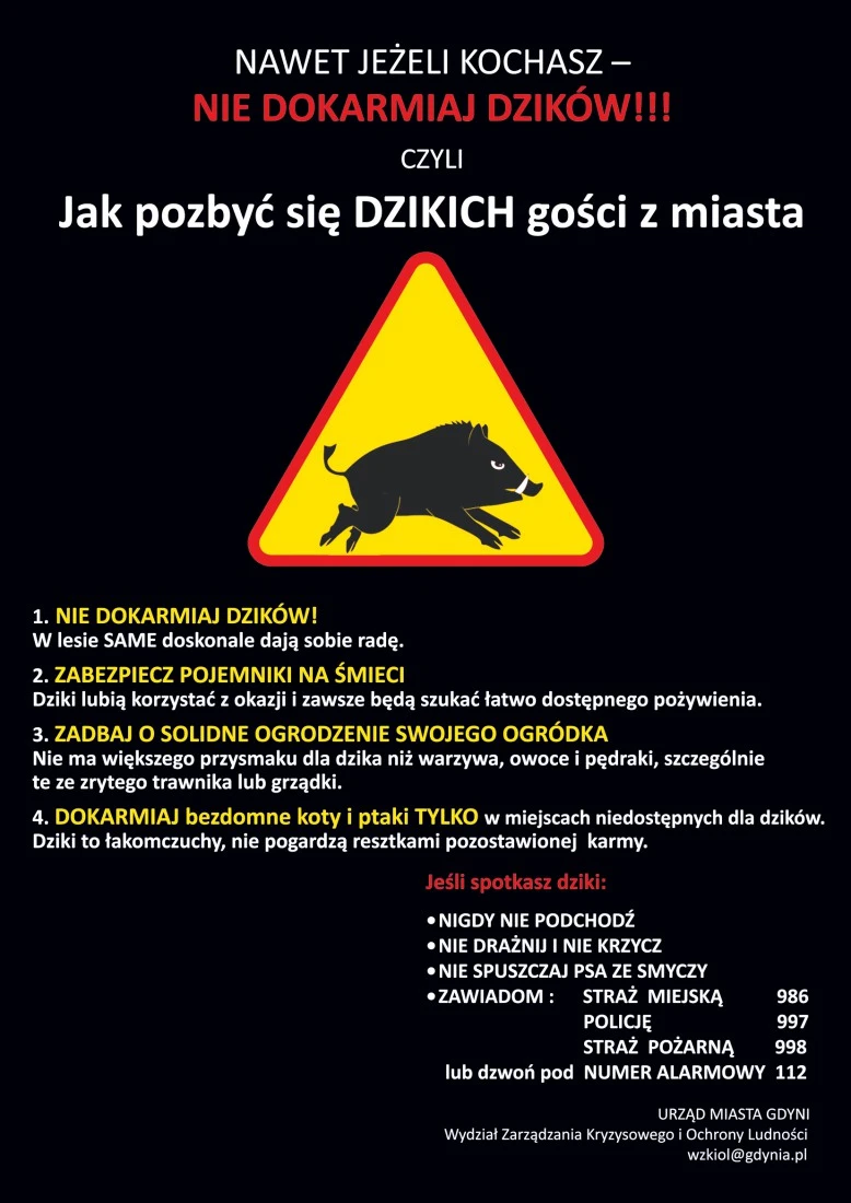 W Gdyni rusza program odławiania dzików