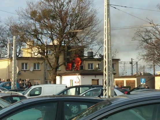 fot. Przemek Żuk.