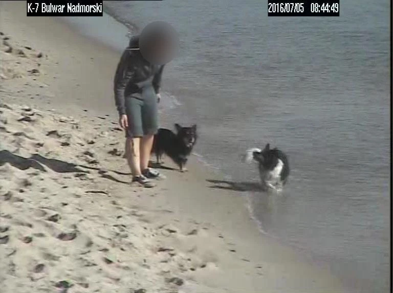 Gdynia: Nie dla psa plaża