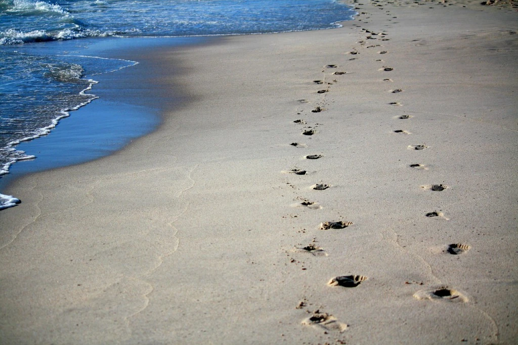 Pokonają pieszo trójmiejskie plaże, by spełnić marzenia chorych dzieci