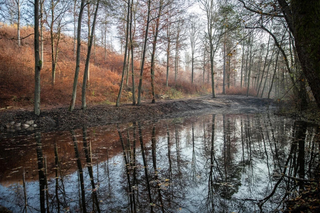 Fot. Wejherowo.pl