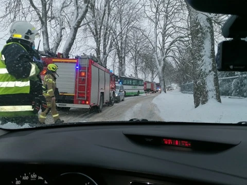 fot. Szymon Fietz/czytelnik portalu