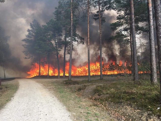Fot. Jakub Drabik
