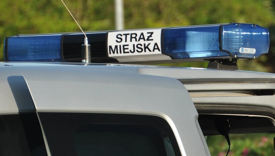 Źródło: SM Gdańsk