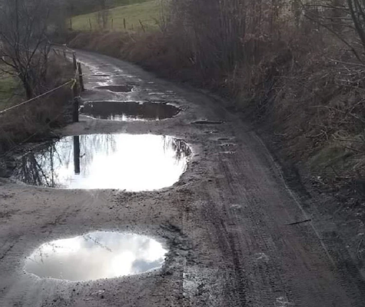 Fot. Zrzutka.pl