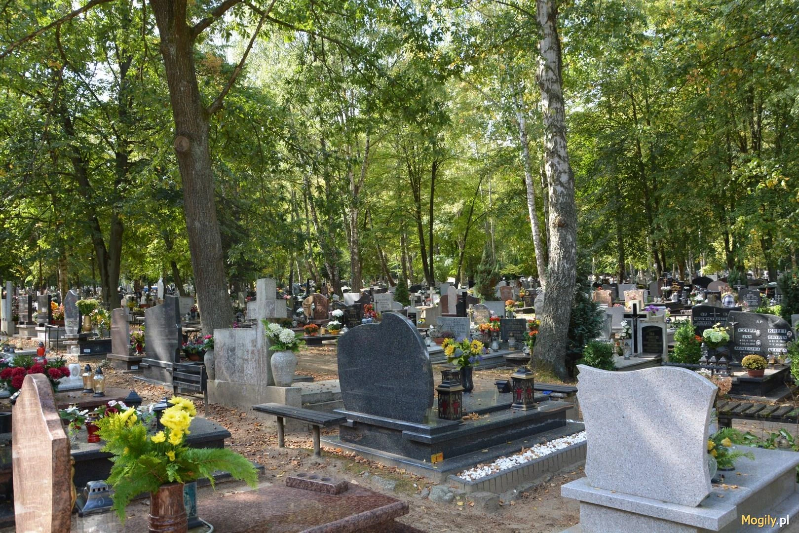 Źródło: Mogily.pl