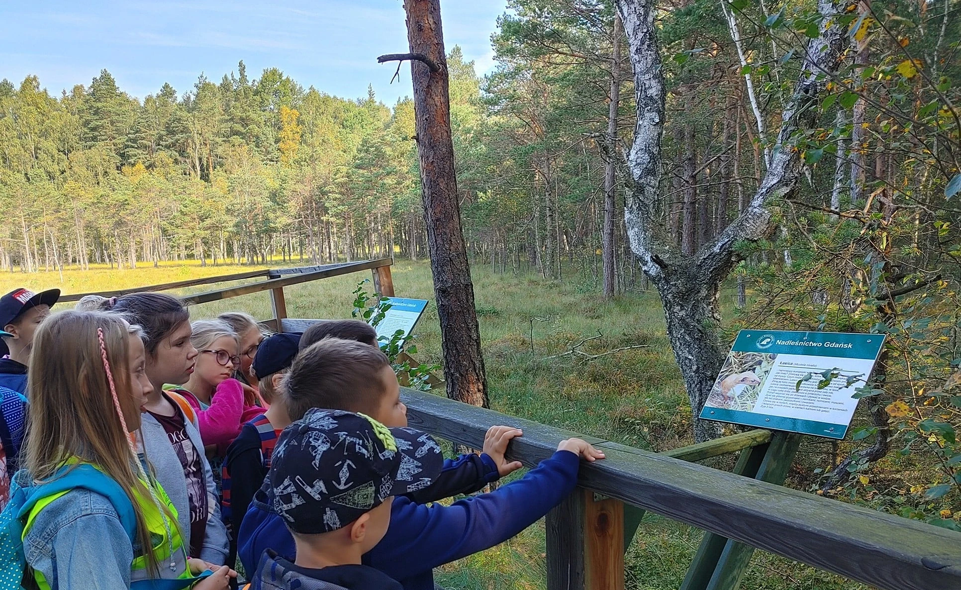 Źródło:UG Wejherowo