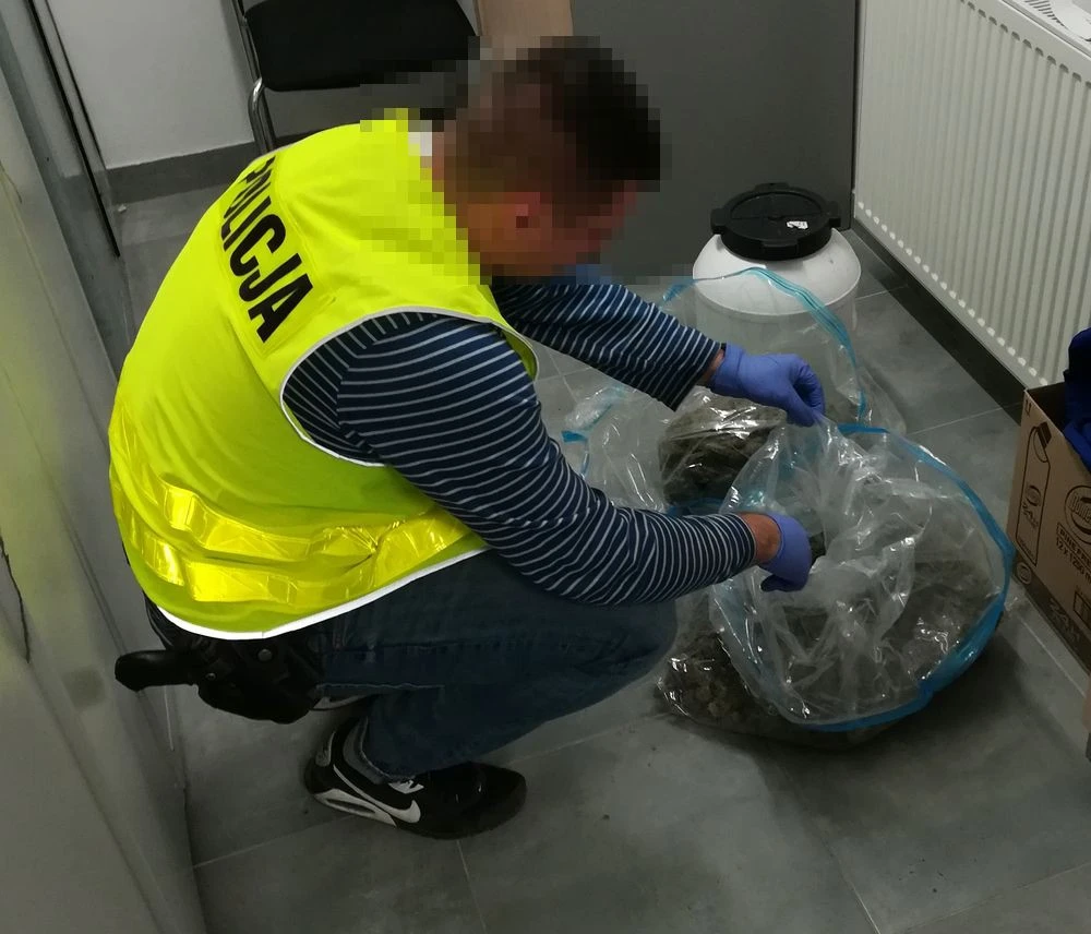 Źródło: KPP Wejherowo