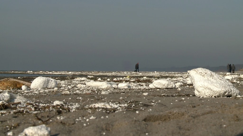 Styropian na plażach zagrożeniem dla środowiska?