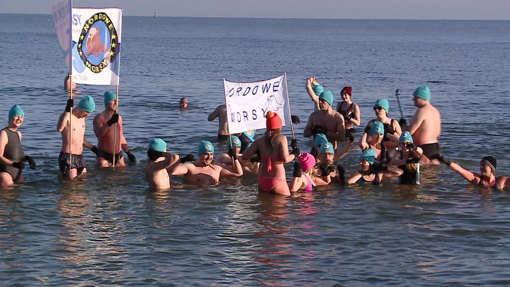 Nordowe morsy zażyły wspólnej kąpieli