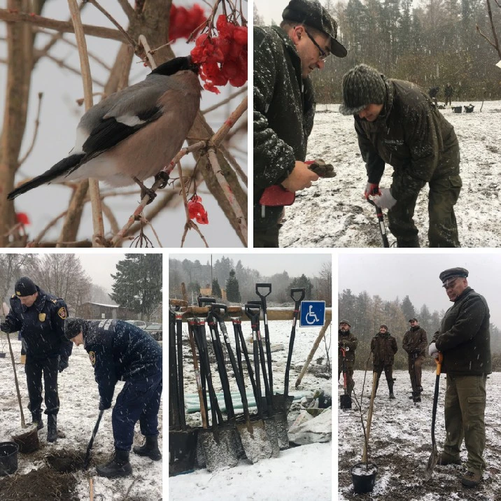 Źródło: Nadleśnictwo Gdańsk