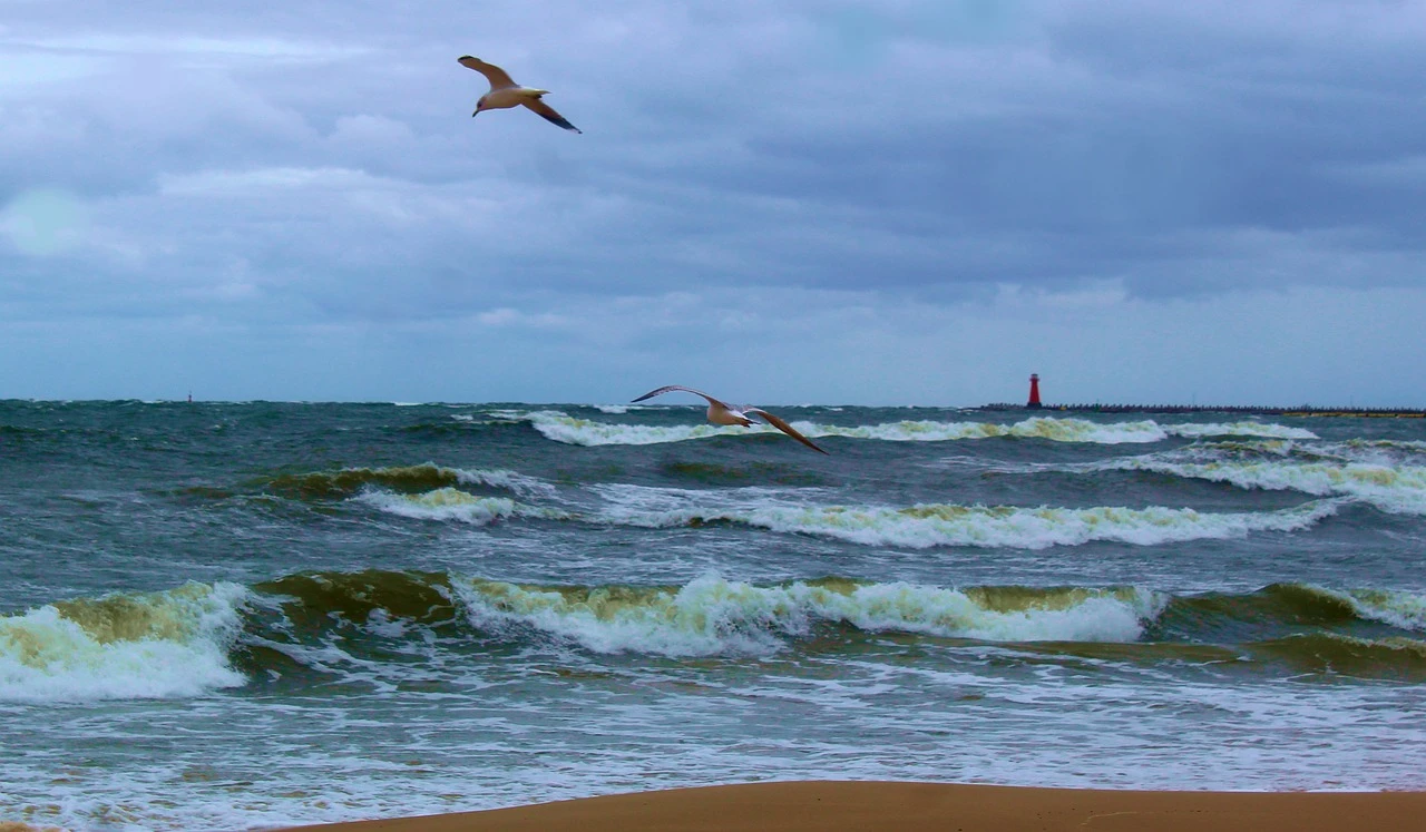 źródło: pixabay.com