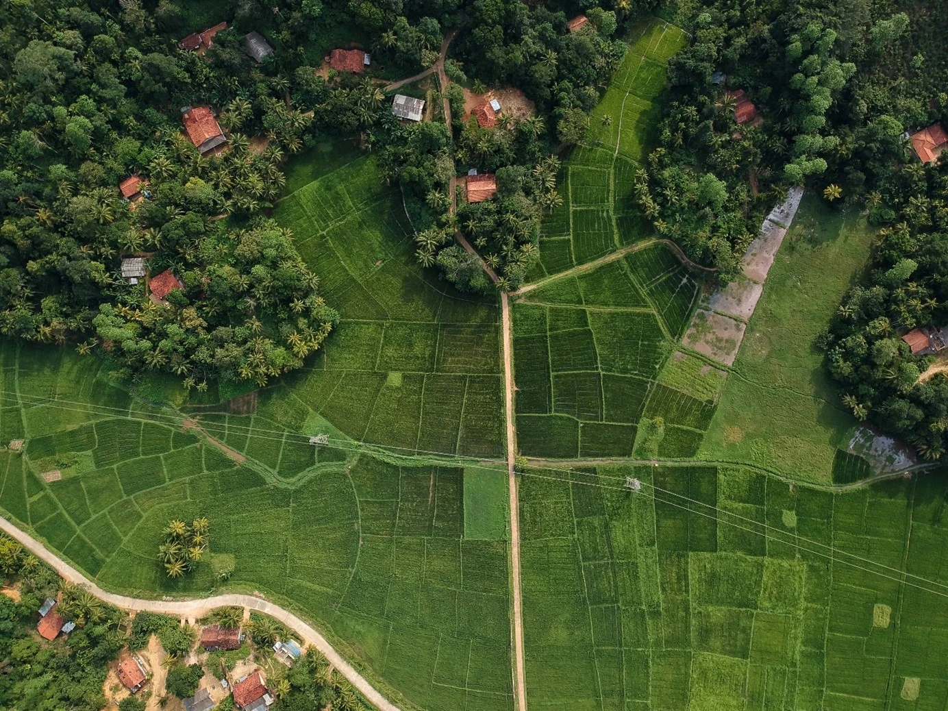 Materiał Partnera