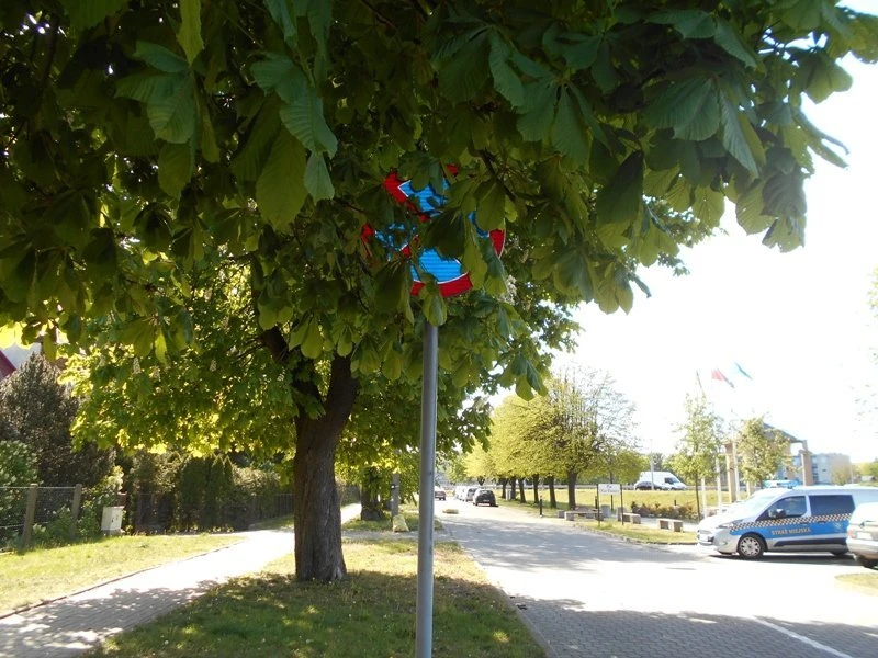 Fot. SM Wejherowo