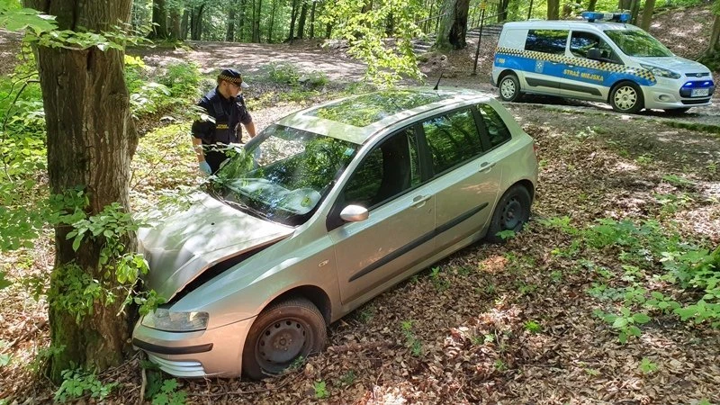 źródło: SM w Wejherowie