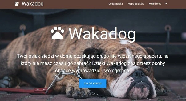 Nie masz czasu wyjść z psem? Skorzystaj z aplikacji