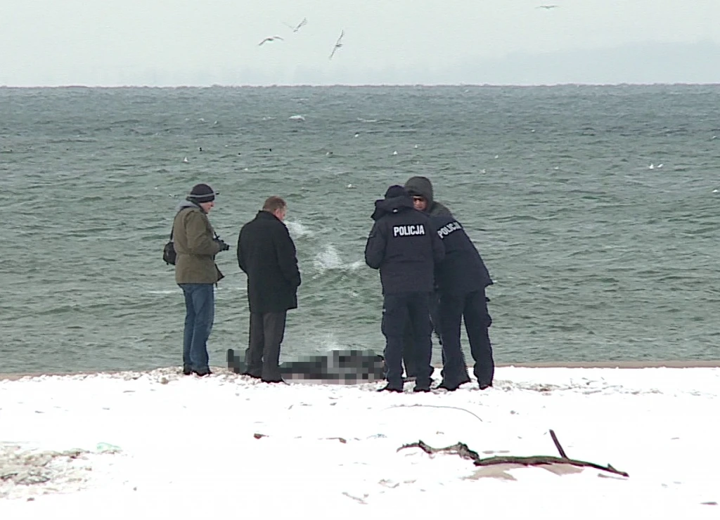 Zwłoki na plaży w Helu