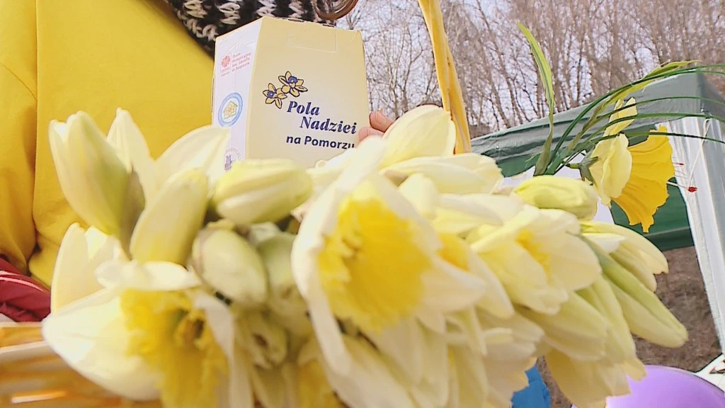 Zasadzą cebulki nadziei przy puckim hospicjum