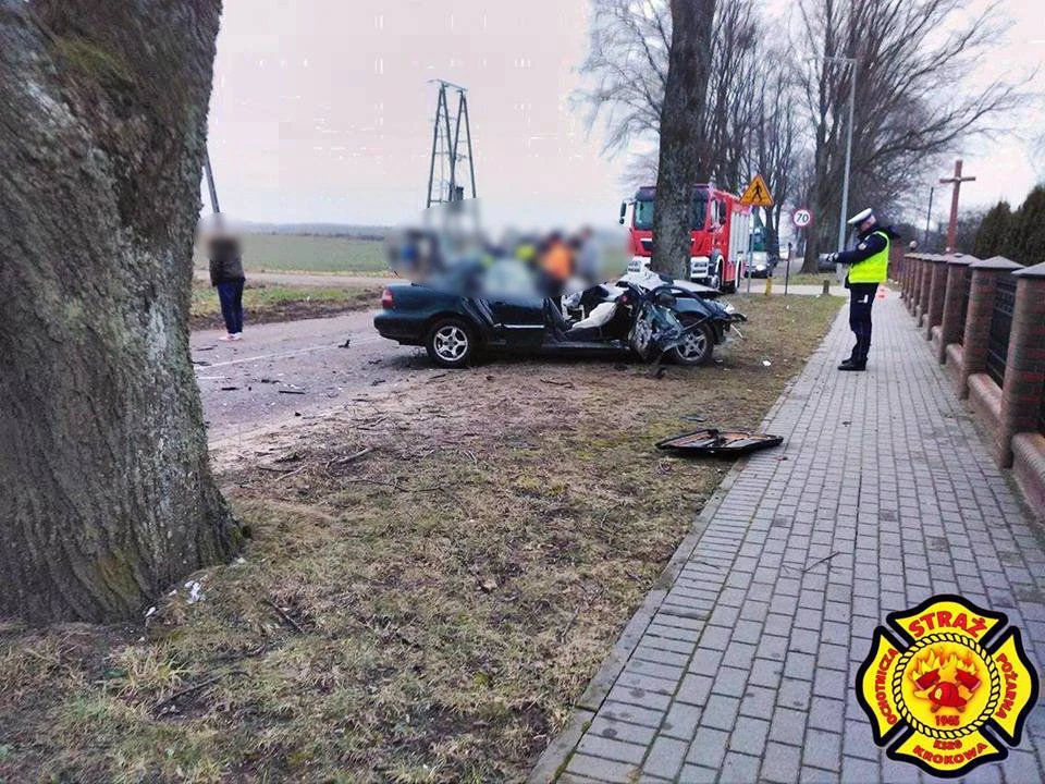 Źródło: facebook.com/ospkrokowa/