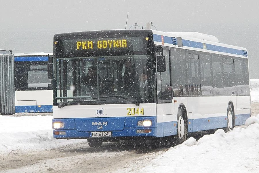 www.zkmgdynia.pl