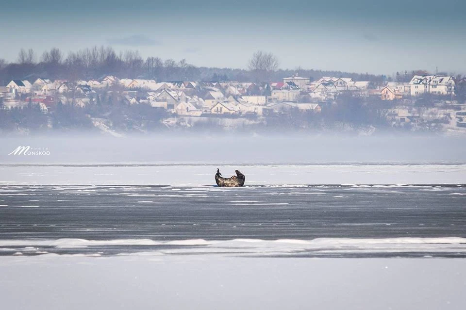 fot. Photo Monskoo - Monika Skowrońska