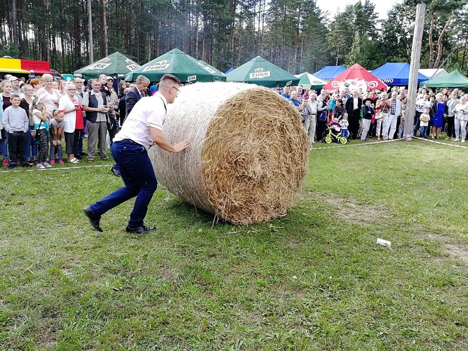 fot. Ania Grzymkowska