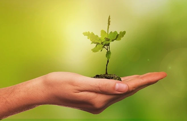 Zdjęcie ilustracyjne/Źródło: pixabay.com