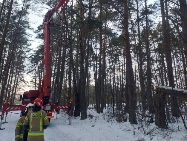 Strażacy interweniowali przy zagrożeniu nad ścieżką