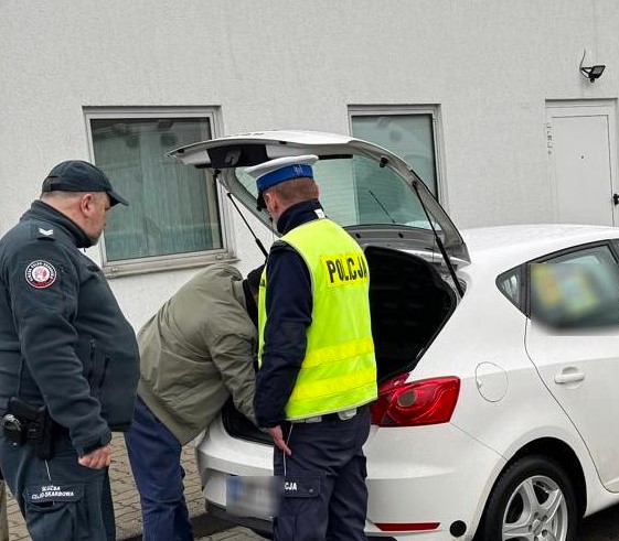 Przewoźnicy pod lupą pomorskiej KAS. Kontrole ujawniły nieprawidłowości