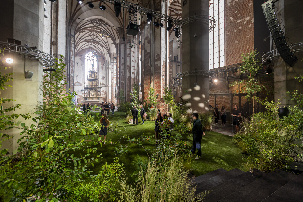 W kościele posadzili las! By go zobaczyć zostało mało czasu