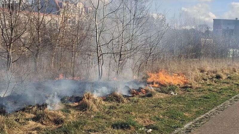 Groźny pożar traw. O krok od tragedii przy uczęszczanej trasie pieszo-rowerowej