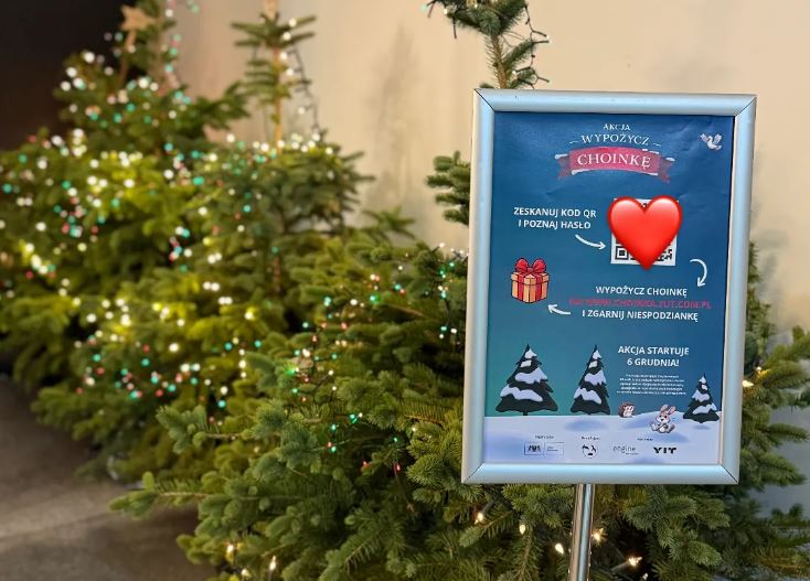 Jeże mogą zacierać łapki. Za wypożyczone choinki wybudują szpitalik dla małych ssaków