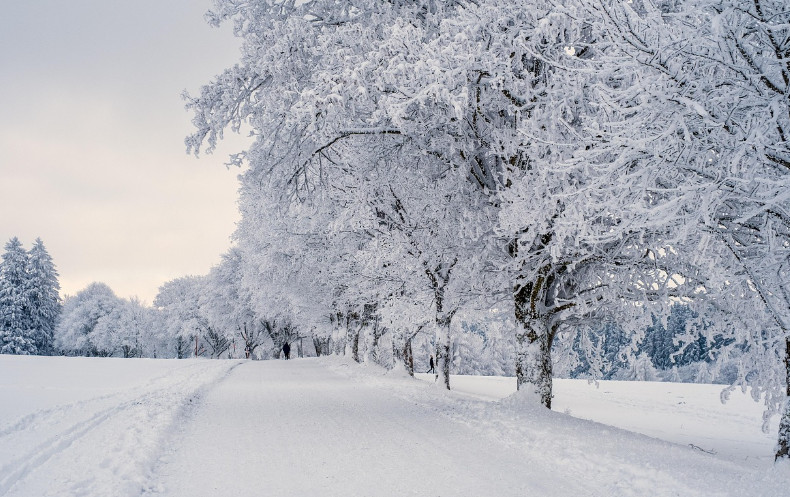 Mróz, wiatr i marznące opady. Warunki groźne dla zdrowia i życia