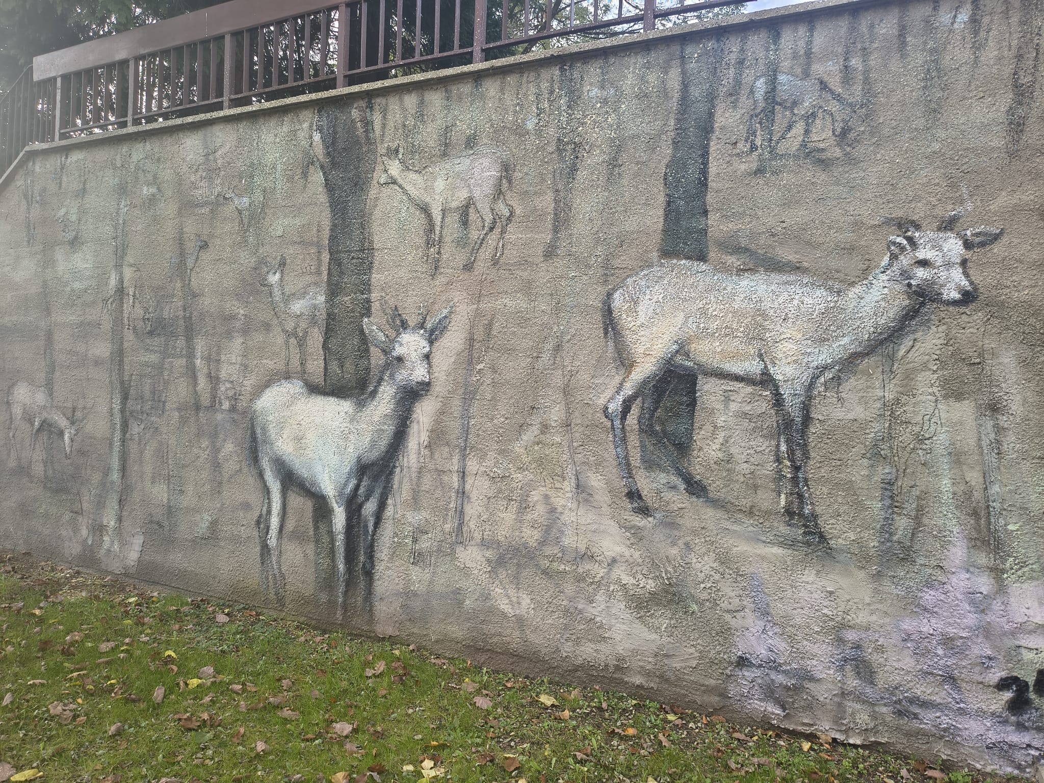Gdzie zrobiono to zdjęcie? Fotograficzna zagadka z Wejherowa