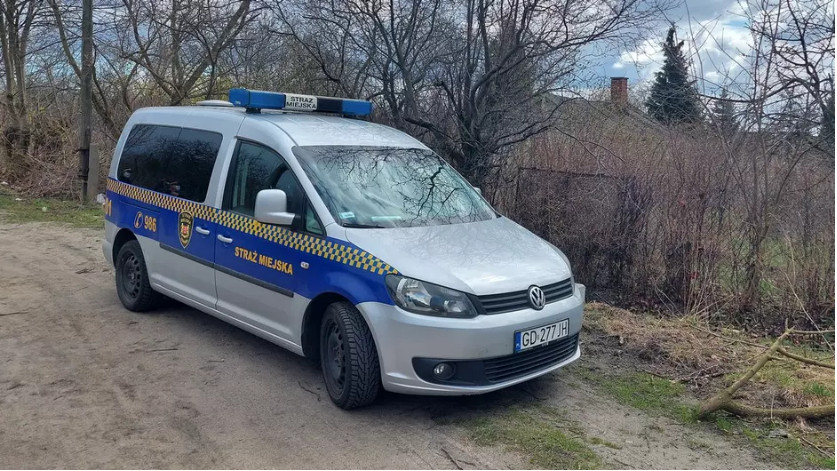 Agresja, wódka i 5-latek obok. Matka odpowie za narażenie dziecka