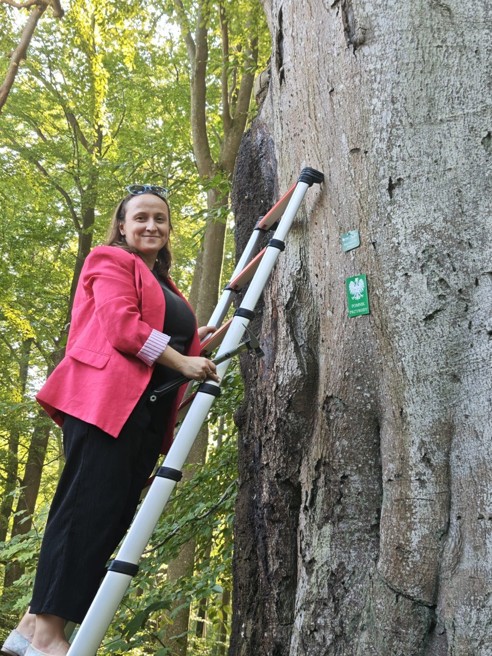 Pomniki przyrody w Redzie zyskały imiona nadane przez mieszkańców